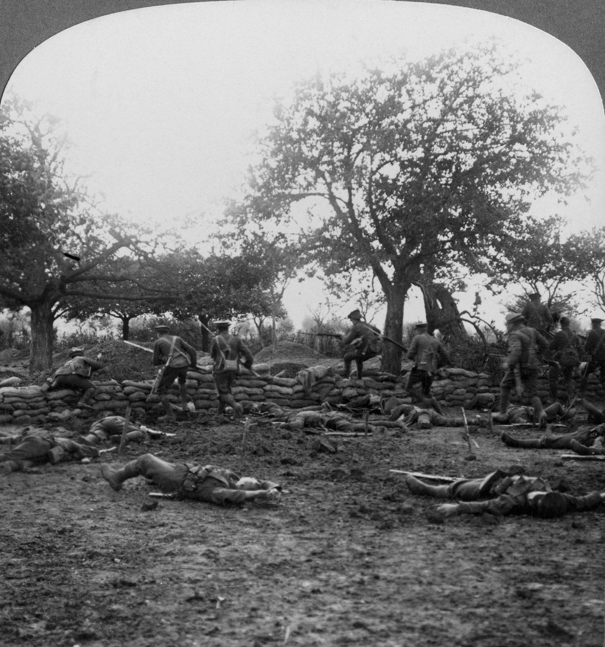 مشهد ساحة المعركة في الحرب العالمية الأولى ، 1914-1918. بواسطة واقعية يسافر الناشرين