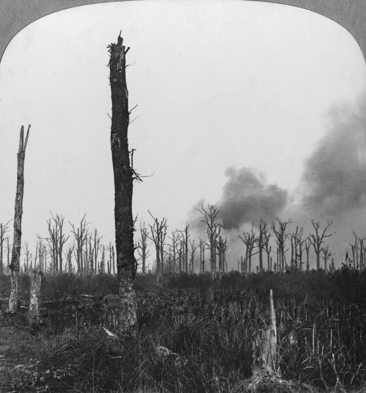 قذائف شديدة الانفجار تنفجر في ماميتز وود ، فرنسا ، الحرب العالمية الأولى ، 1916 بواسطة واقعية يسافر الناشرين