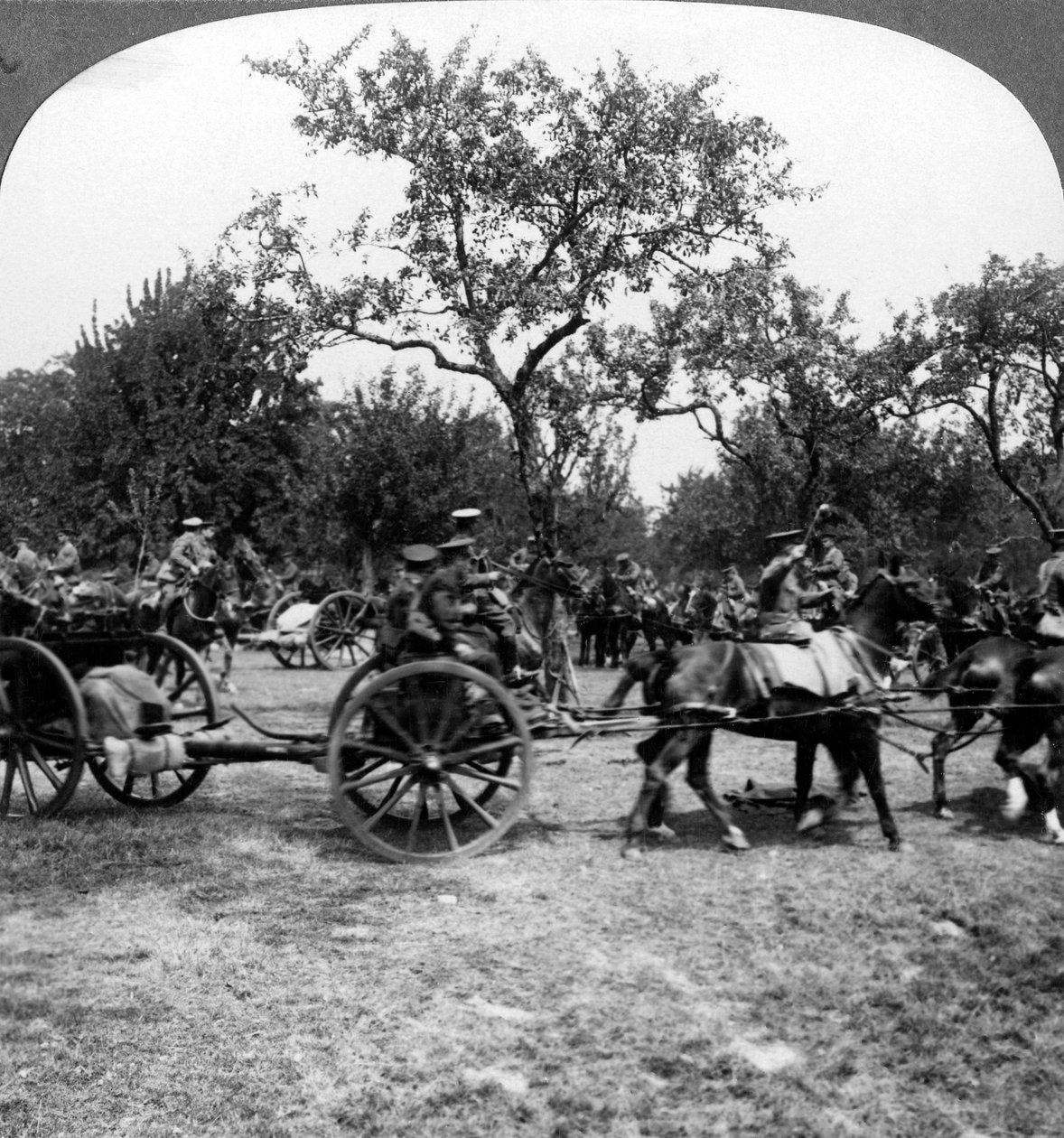 مدفعية تجرها الخيول ، الحرب العالمية الأولى ، 1914-1918. بواسطة واقعية يسافر الناشرين