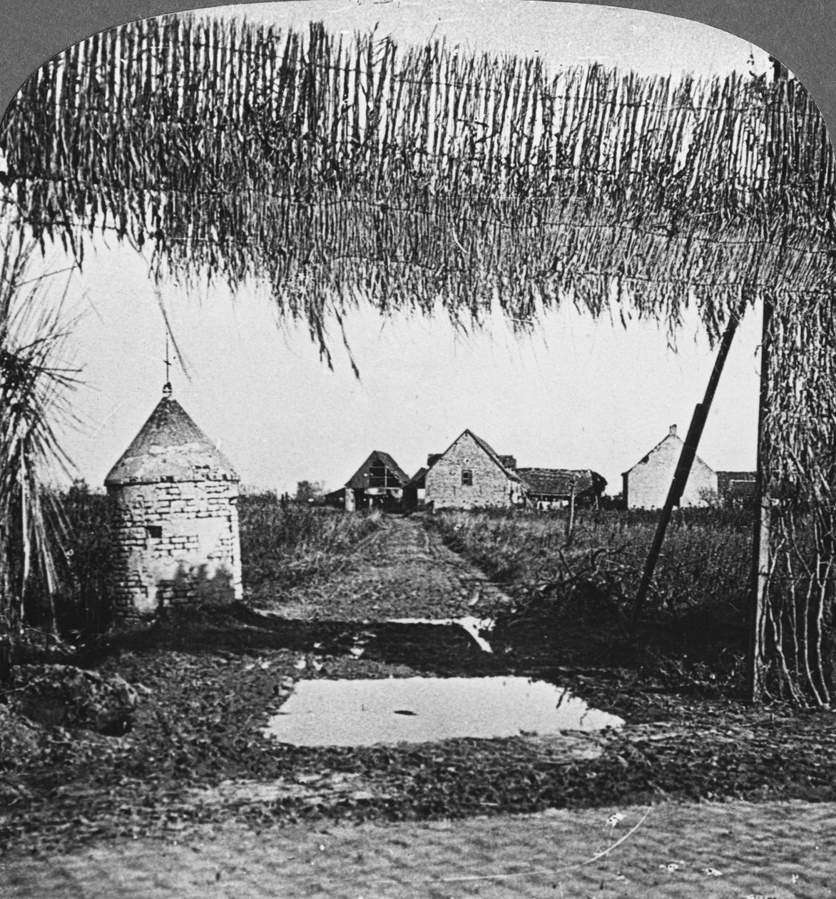 تمويه عبقري ، الحرب العالمية الأولى ، c1914-c1918. بواسطة واقعية يسافر الناشرين