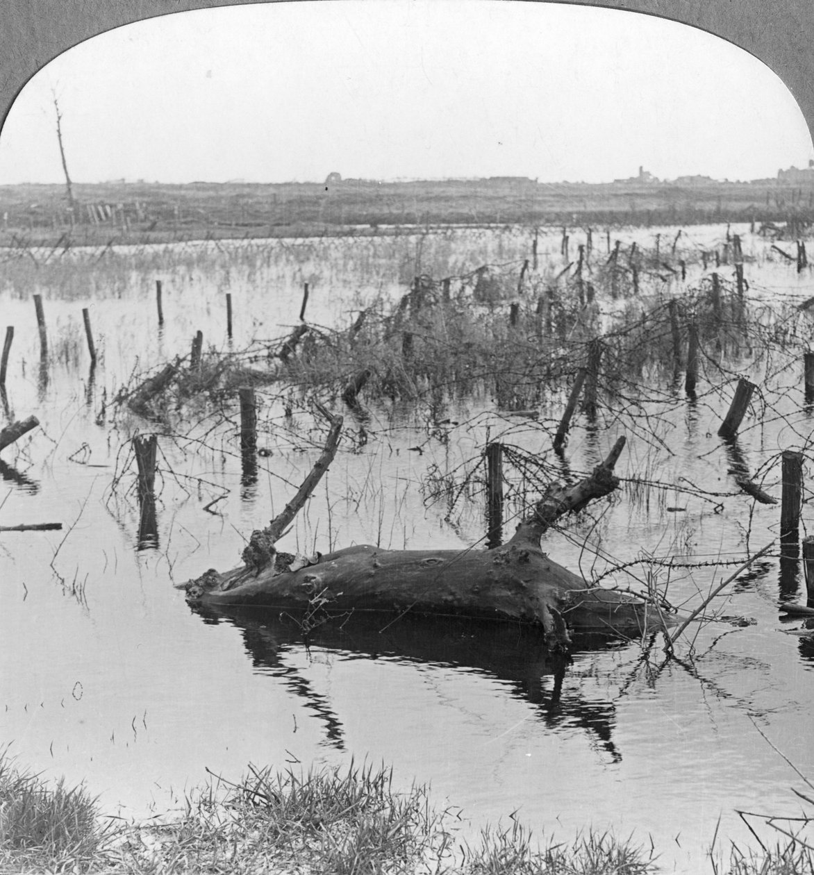 فتحات وأسلاك شائكة في نيوبورت ، بلجيكا ، الحرب العالمية الأولى ، c1914-c1918 بواسطة واقعية يسافر الناشرين