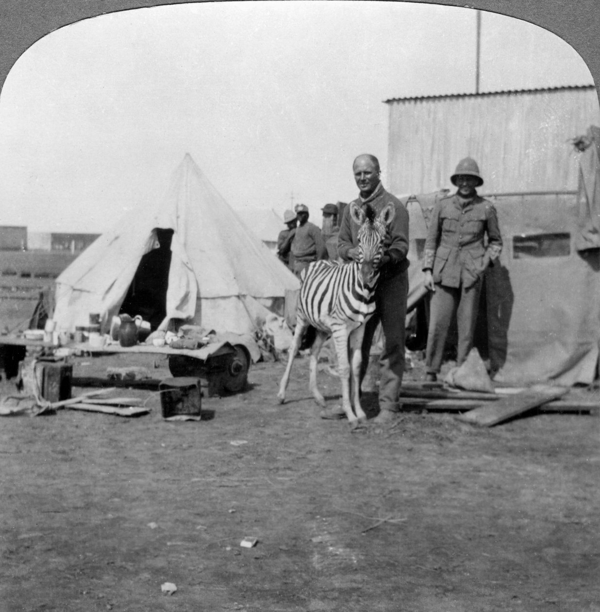 المدفعيون الجنوب أفريقيون مع حمارهم الاليفة ، شرق أفريقيا ، الحرب العالمية الأولى ، 1914-1918. بواسطة واقعية يسافر الناشرين