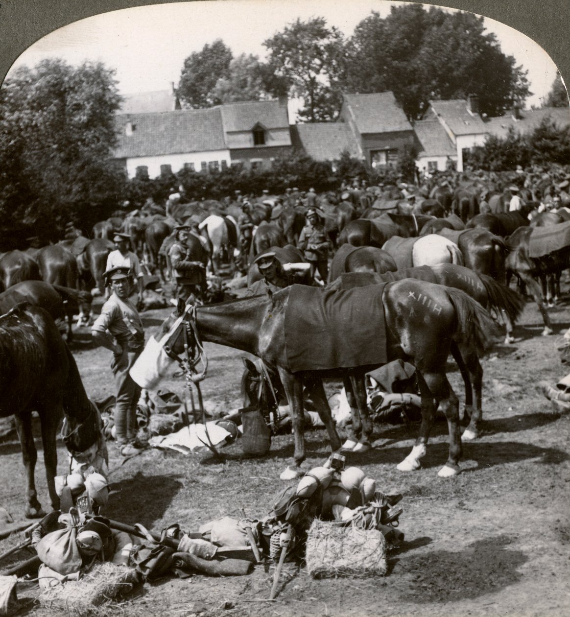 القوات تطعم خيولها وتستريح في المسيرة ، الحرب العالمية الأولى ، 1914-1918. بواسطة واقعية يسافر الناشرين
