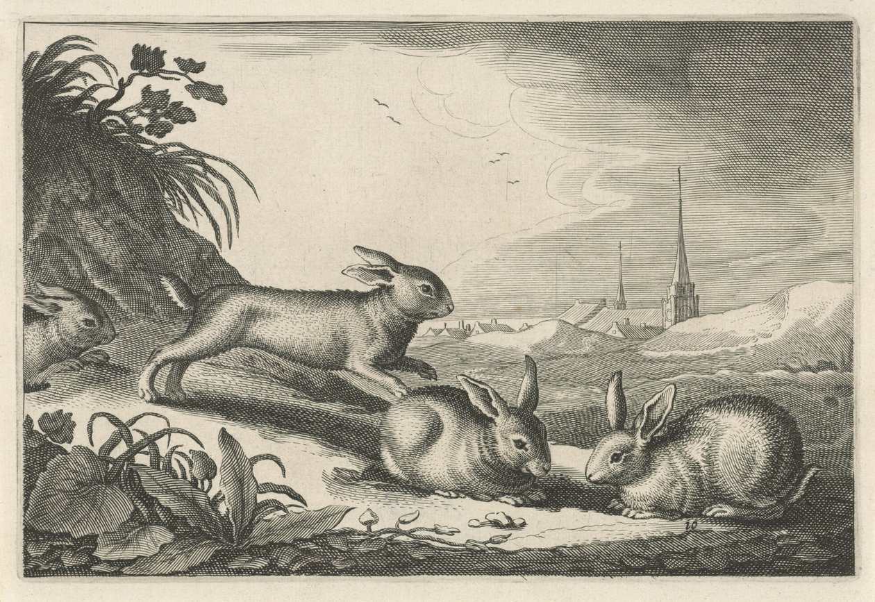 المناظر الطبيعية الكثبان الرملية مع الأرانب Diversa Animalia Quadrupedia (عنوان المسلسل) بواسطة Reinier van Persijn