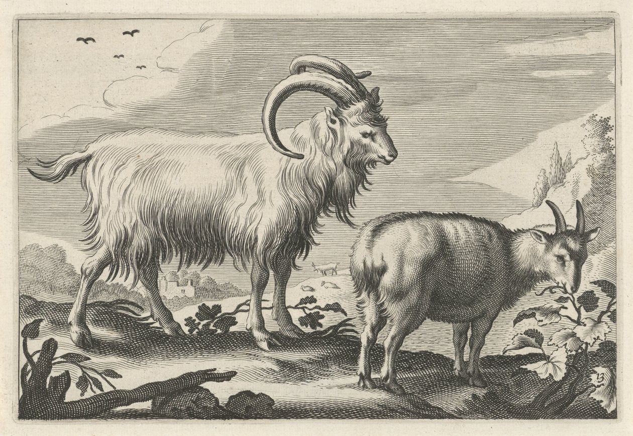 التلال المناظر الطبيعية مع اثنين من الماعز Diversa Animalia Quadrupedia (عنوان المسلسل) بواسطة Reinier van Persijn