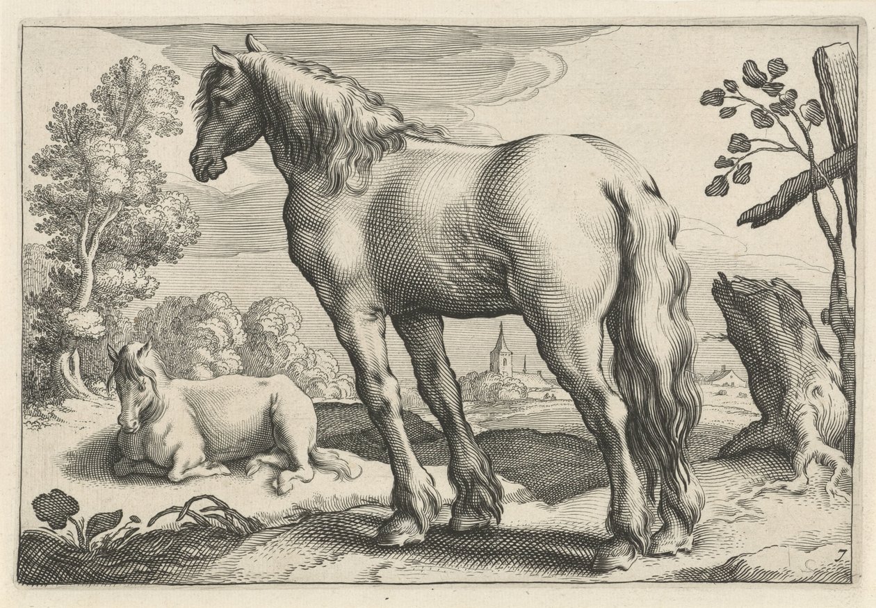 منظر طبيعي به حصانان Diversa Animalia Quadrupedia (عنوان المسلسل) بواسطة Reinier van Persijn