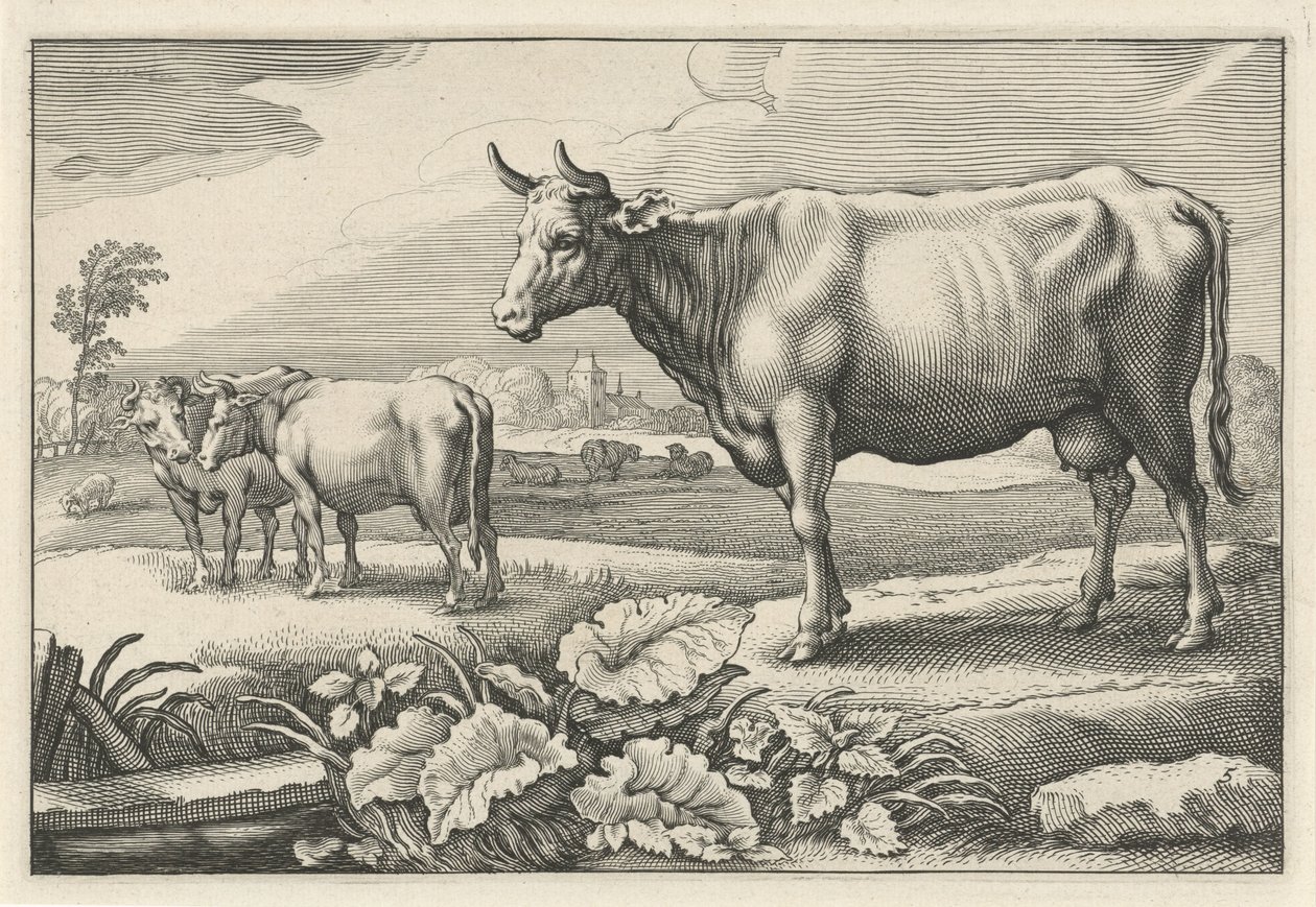 مرعى مع أبقار Diversa Animalia Quadrupedia (عنوان المسلسل) بواسطة Reinier van Persijn