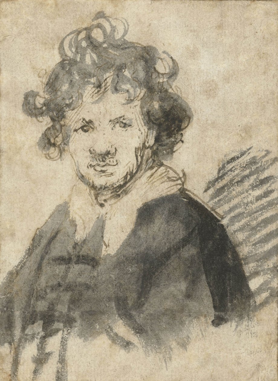 صورة ذاتية مع شعر مموج ، c.1628-29 بواسطة رامبرانت فان راين