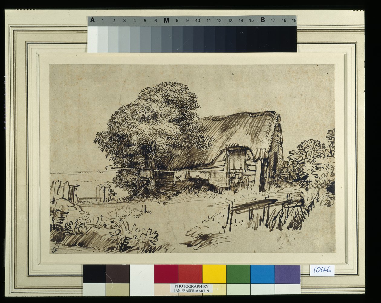 A thatched cottage by a large tree, a figure seated outside, c.1648-52 (pen & ink on paper) بواسطة رامبرانت هارمنز. فان راين