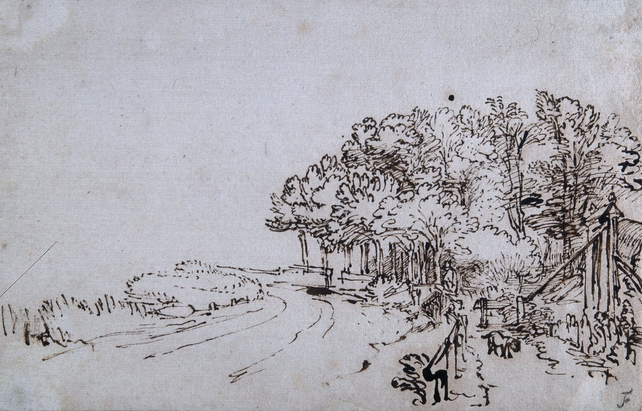Copse at the head of the Amsteldijk near Trompenburg, c.1649 (pen & ink on paper) بواسطة رامبرانت هارمنز. فان راين