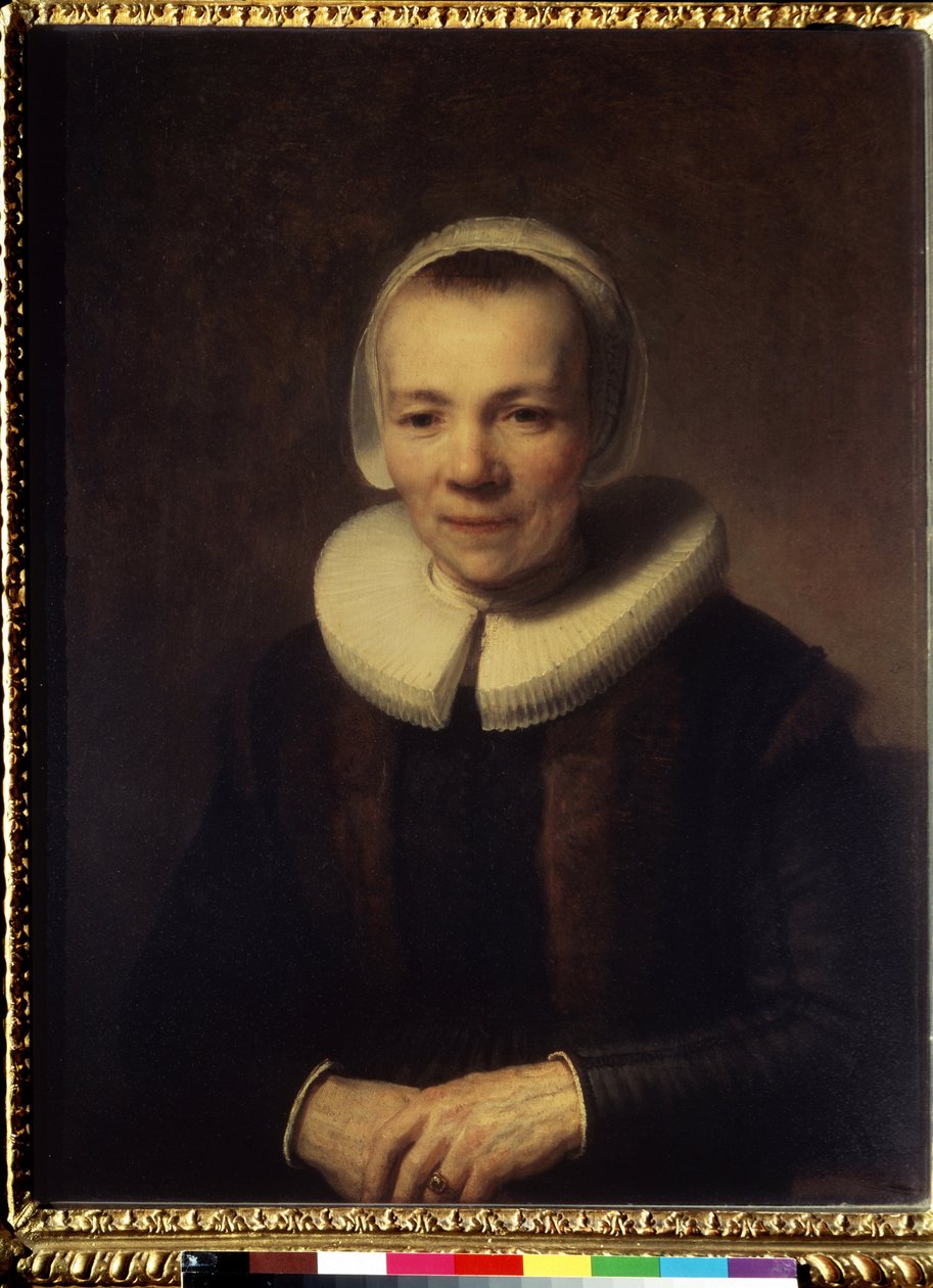 بورتريه دي بارتيه مارتينز دومر (صورة بارتجي مارتينز دومر). Peinture de Harmenszoon van Rijn this Rembrandt (1606-1669) بواسطة رامبرانت هارمنز. فان راين