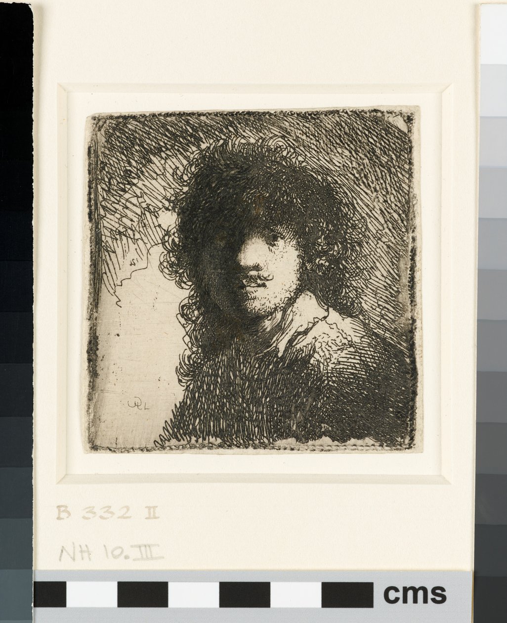صورة شخصية عارية الرأس: تمثال نصفي ، حوالي 1629 (حفر) بواسطة رامبرانت فان راين