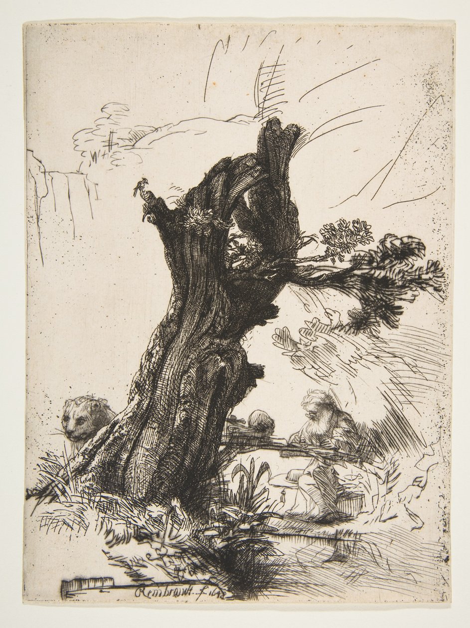 سانت جيروم بجانب بولارد ويلو ، 1648. بواسطة رامبرانت فان راين