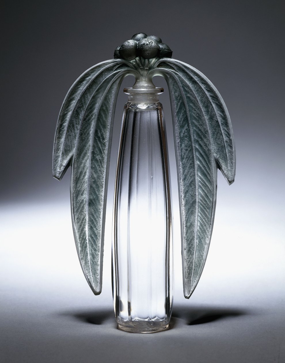 Bouchon Eucalyptus ، رقم 507 ، حوالي عام 1919 (زجاج شفاف ، مصنفر وذو لون أخضر) بواسطة رينيه جول لاليك