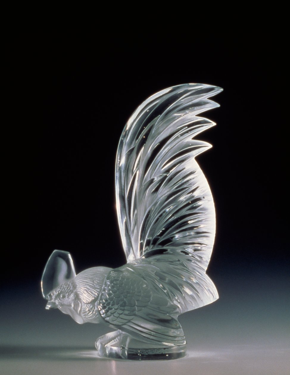 Coq Nain (little bantam) radiator cap بواسطة رينيه جول لاليك