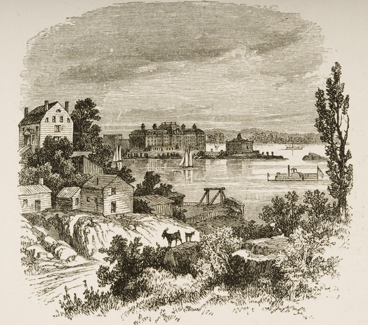 خليج السلاحف وجزيرة بلاكويلز ، نيويورك ، c.1880 بواسطة القس صمويل مانينغ