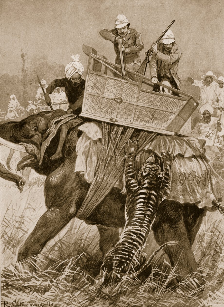 زيارة أمير ويلز للهند ، 1876: فيل الأمير الذي اتهمه نمر في نيبول تيراي ، 21 فبراير ، من "أخبار لندن المصورة" ، 1901 بواسطة ريتشارد كاتون وودفيل