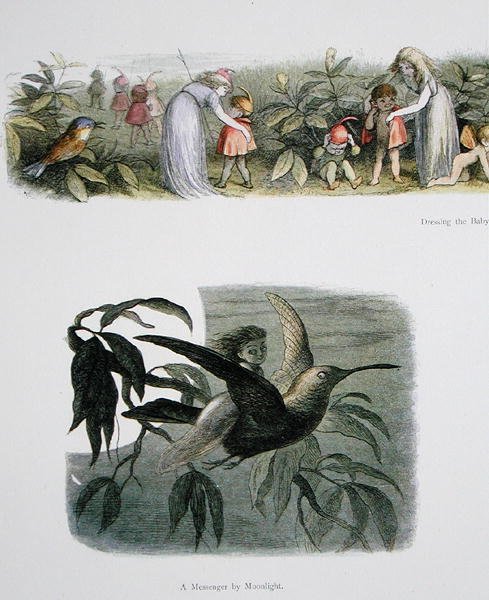 تلبيس طفل الجان ، ورسول من ضوء القمر ، رسوم توضيحية من In Fairyland: سلسلة من الصور من Elf-World بواسطة William Allingham و Andrew Lang (انظر أيضًا 222021) بواسطة ريتشارد دويل