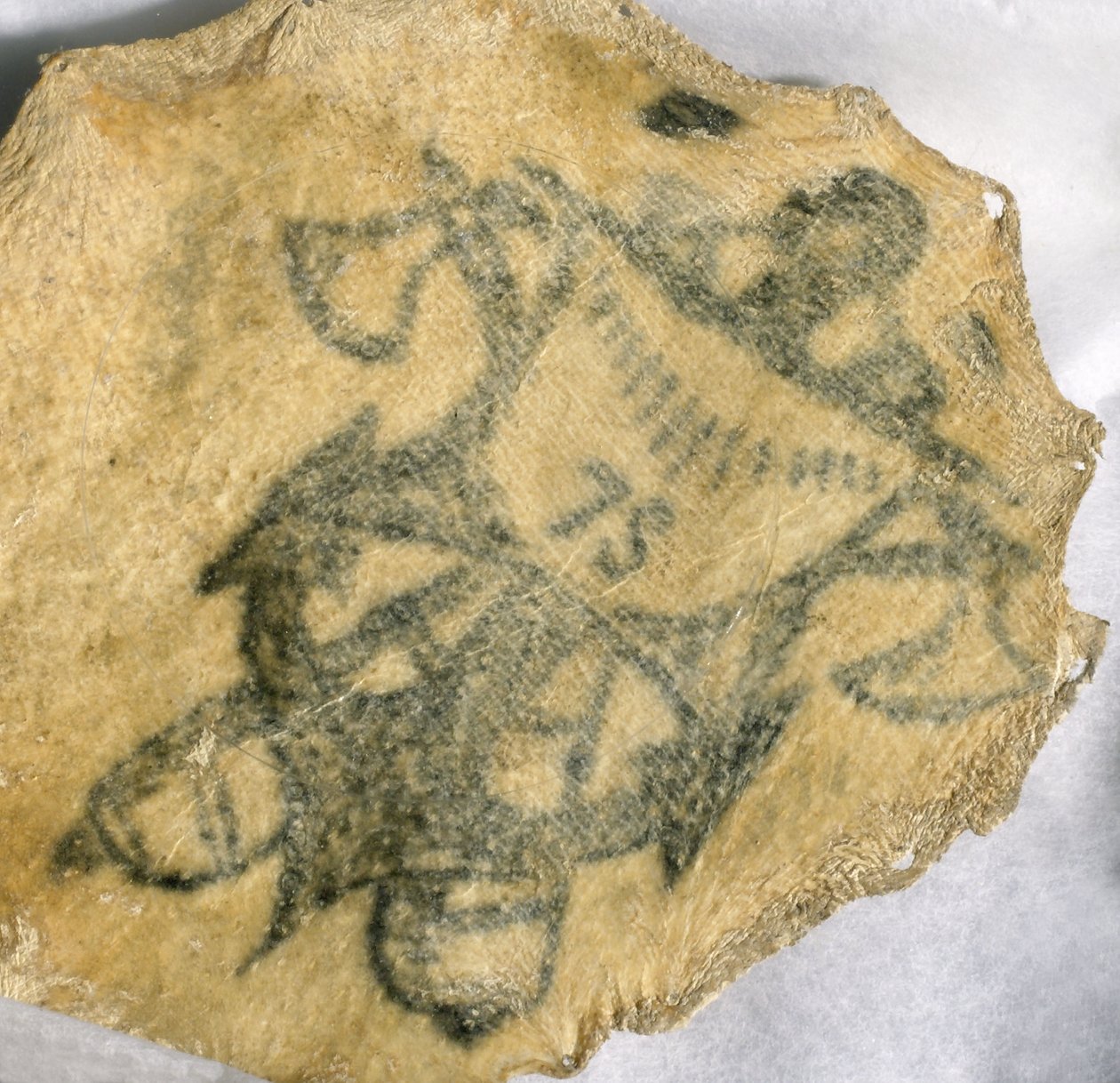 Human skin, tattooed with naval badge, French بواسطة ريتشارد (بعد) داد