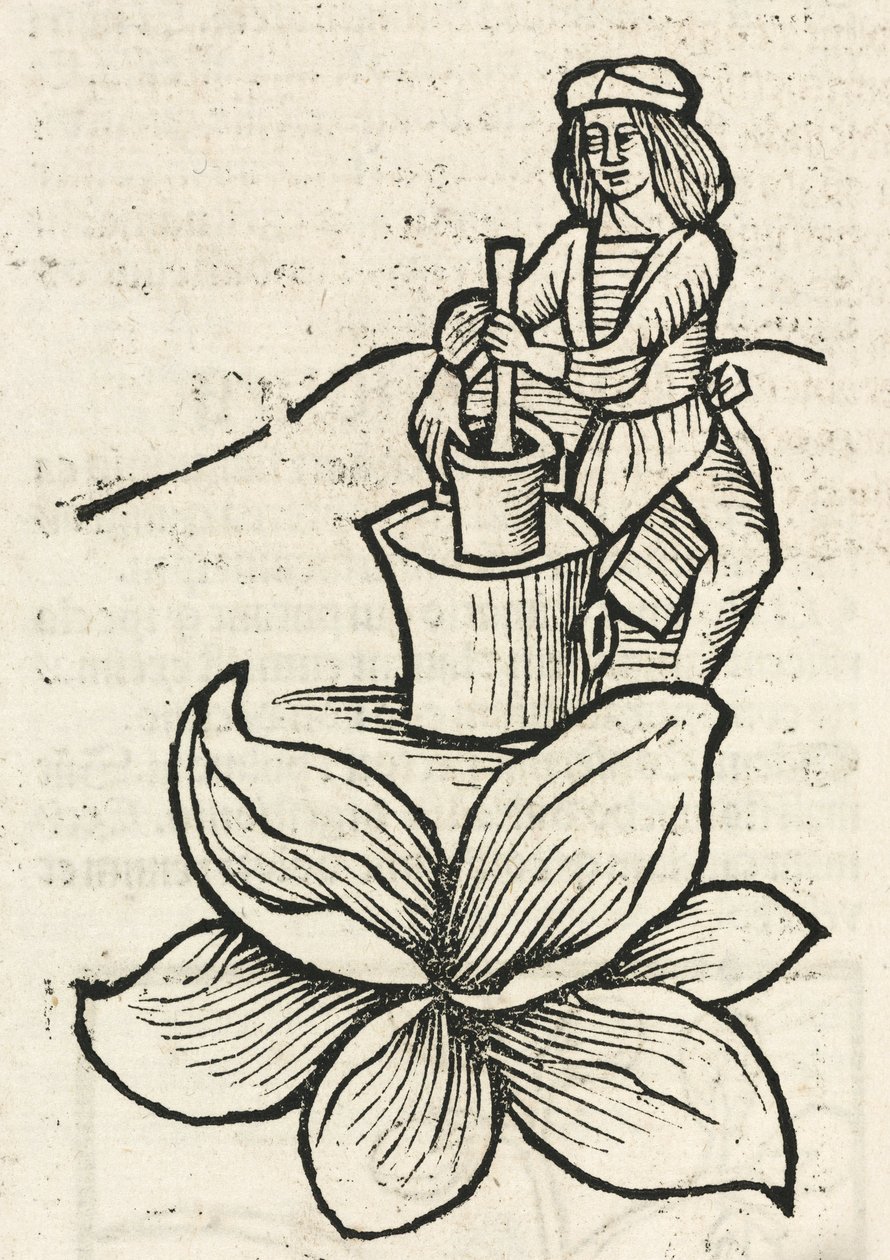 Medieval Man using a pestle and mortar to crush plants بواسطة ريتشارد (بعد) داد