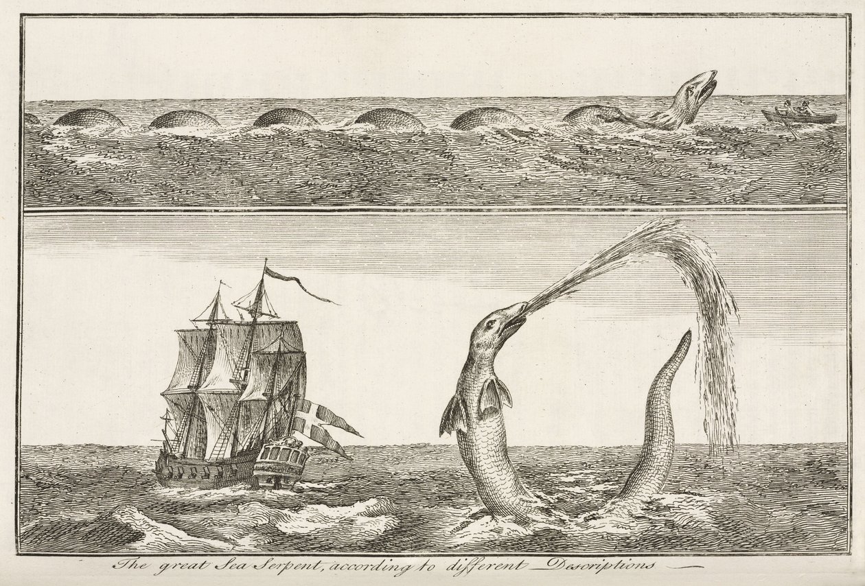 The great Sea Serpent, according to different Descriptions بواسطة ريتشارد (بعد) داد