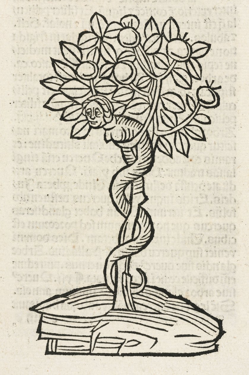 The serpent in the tree of knowledge بواسطة ريتشارد (بعد) داد