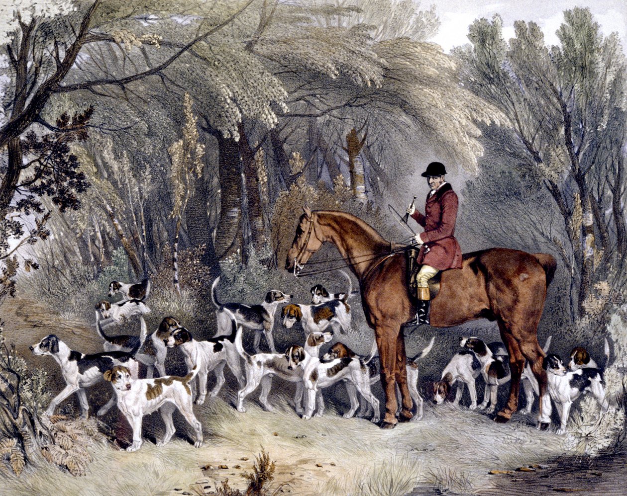 W. Head, Huntsman to the Donnington Hounds, engraved by J.W. Giles (1801-70) 1837 (colour litho) بواسطة ريتشارد باريت (بعد) ديفيس