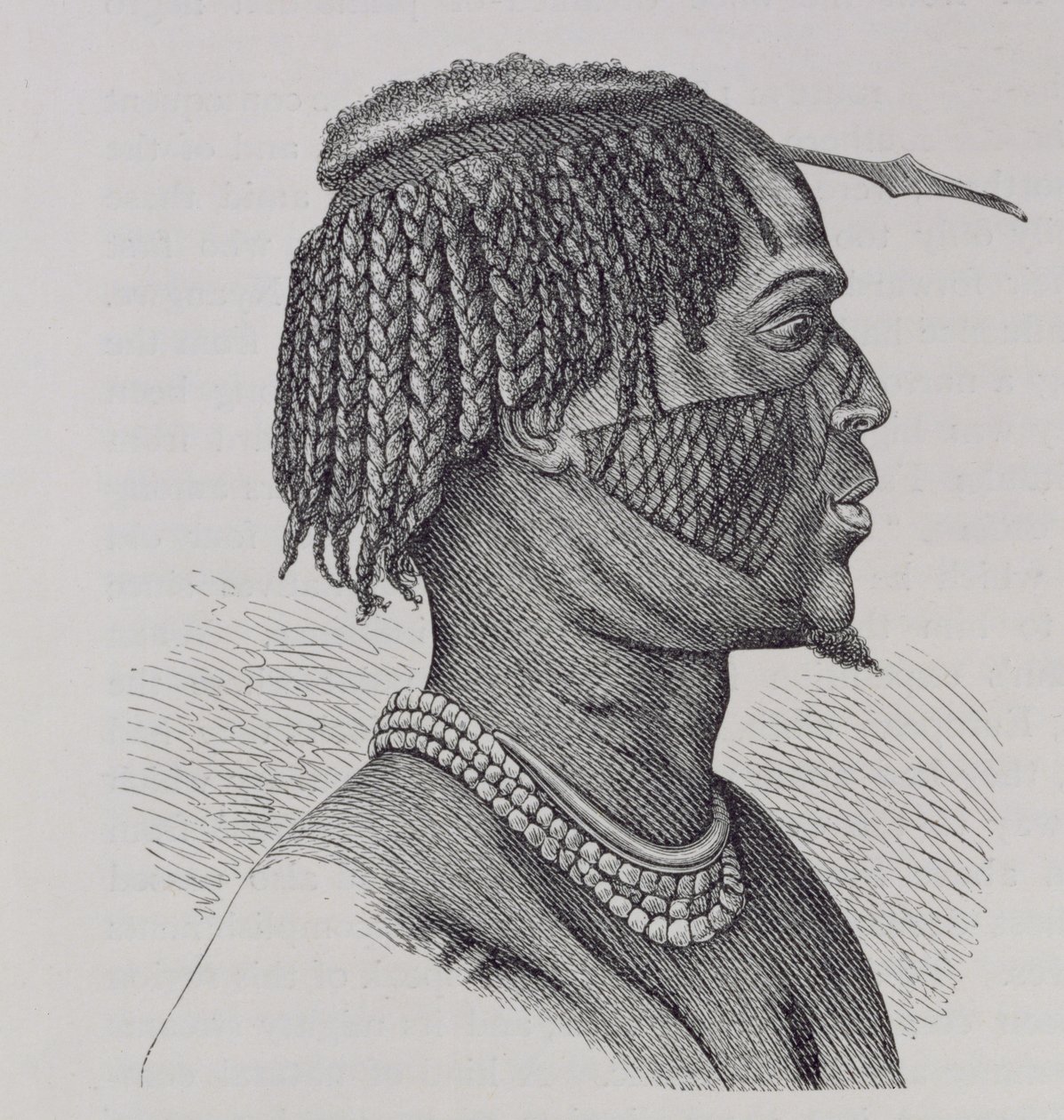 زانده ، من "تاريخ البشرية" ، المجلد الثالث ، للأستاذ فريدريش راتزيل ، 1898 بواسطة ريتشارد بوكتا