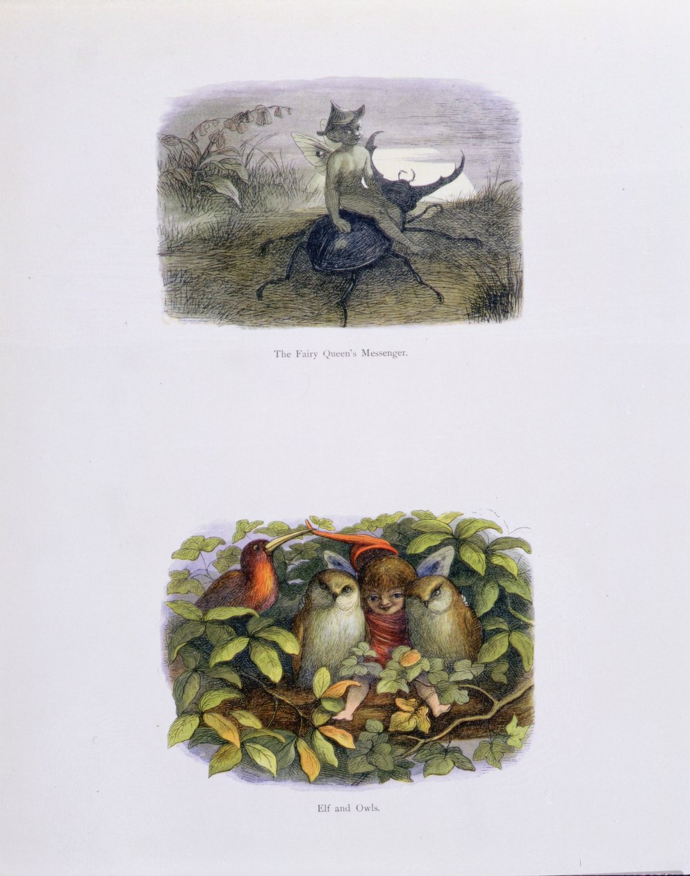 The Fairy Queen&39;s Messenger و Elf and Owls ، رسوم توضيحية من فيلم "In Fairyland: A Series of Pictures from the Elf-World" من تأليف William Allingham و Andrew Lang بواسطة ريتشارد دويل
