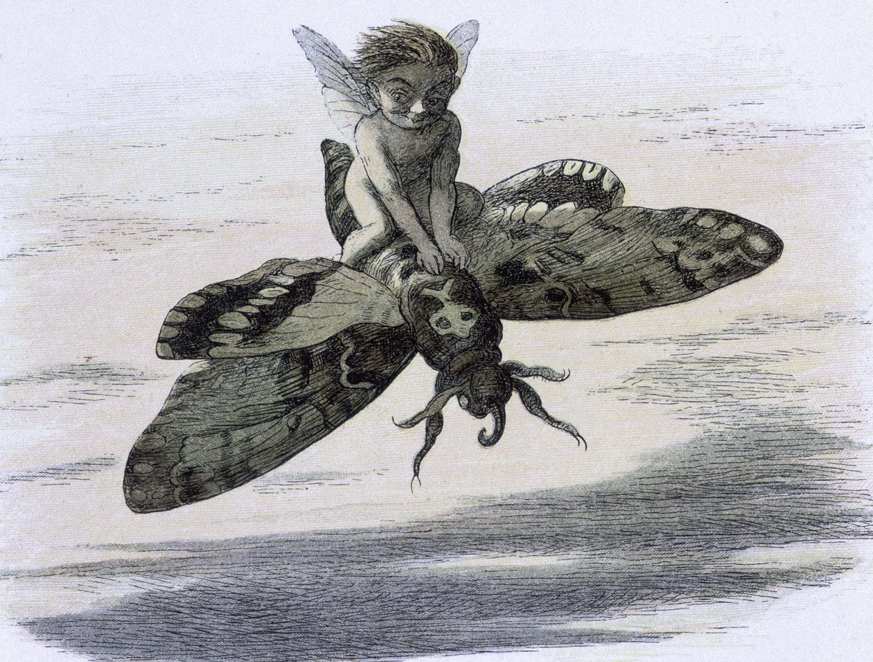 Un elfe chevauchant un papillon. تصوير دي ريتشارد دويل تيري دي "" في أرض الجنية. سلسلة من الصور من عالم قزم "" المرافق دون بويم دي دبليو ألينجهام. 1869-1870. مرجع مؤسسة المكتبة البريطانية: معرف علامة الرف: 1876 e18 