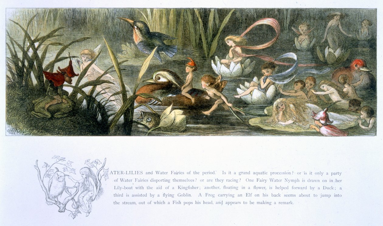 Water-Lilies و Water Fairies ، توضيح من فيلم "In Fairyland: A Series of the Photos from the Elf-World" من تأليف William Allingham و Andrew Lang بواسطة ريتشارد دويل