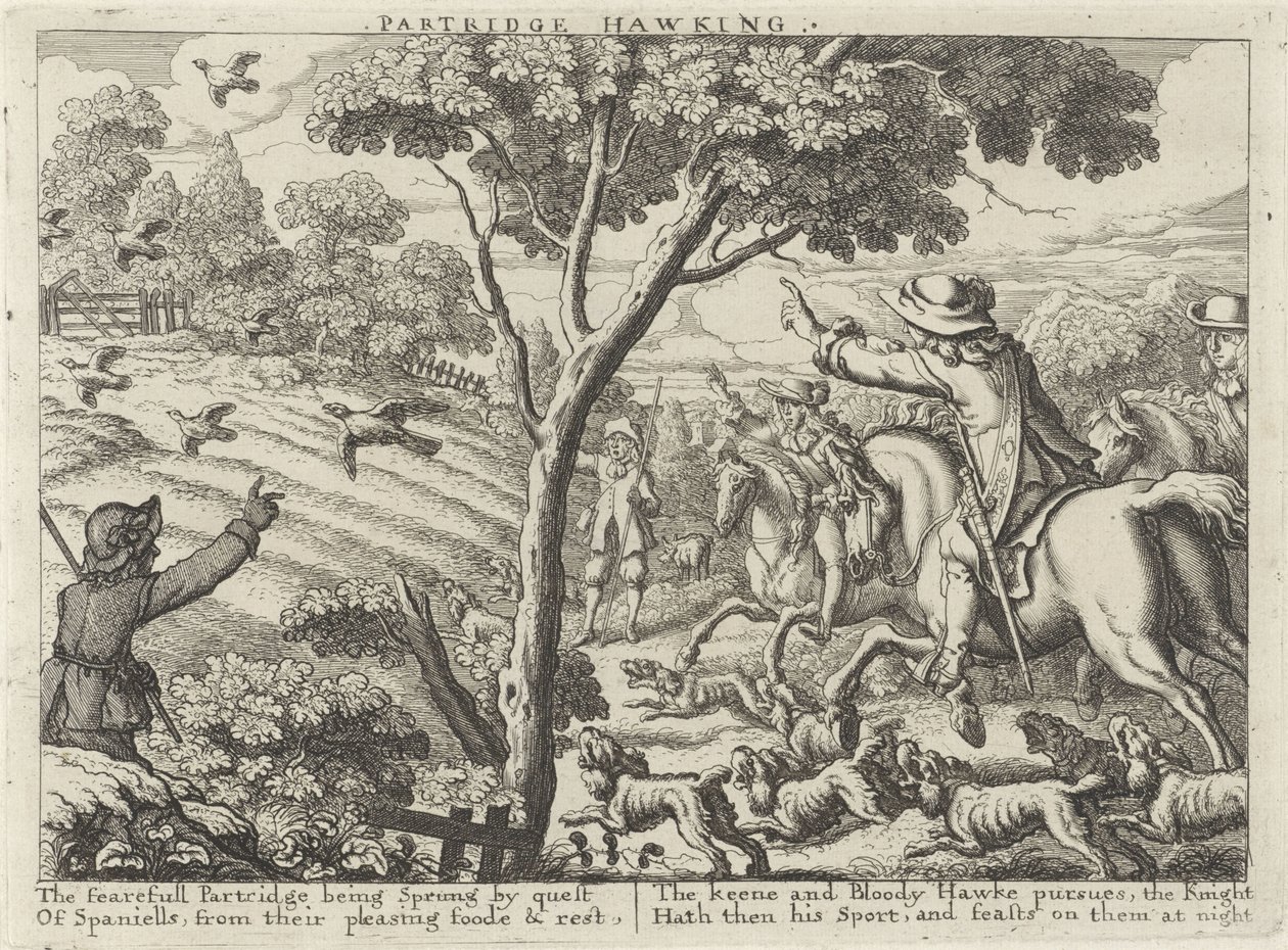 Jacht op patrijsvogels بارتريدج هوكينج (العنوان على الكائن) Jachtpartijen (عنوان المسلسل) طرق سيفيرال للصيد ، هوكينج ، وصيد الأسماك ، وفقًا للطريقة الإنجليزية (عنوان السلسلة) بواسطة ريتشارد جايوود (ربما)