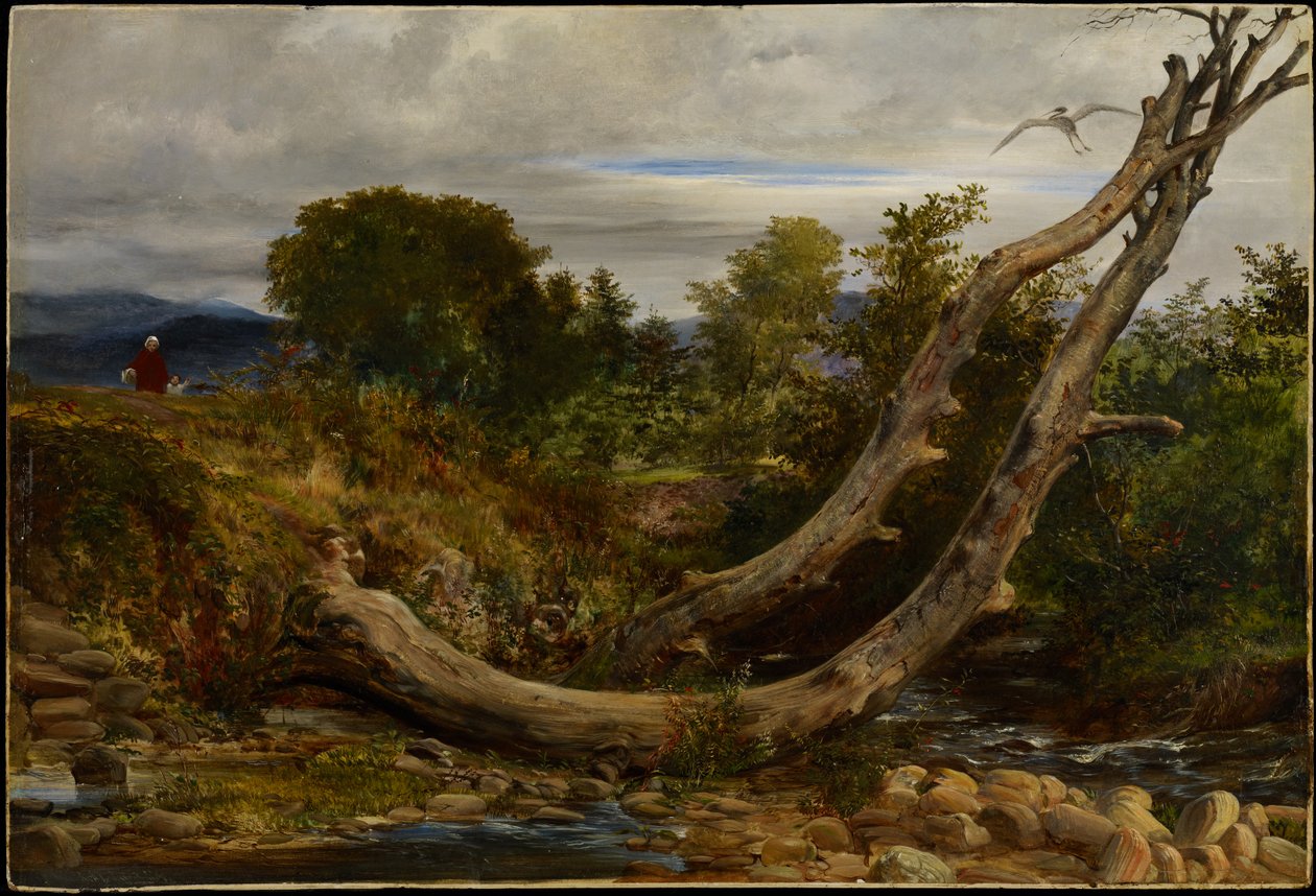 The Heron Disturbed، c.1850 (زيت على اللوح) بواسطة ريتشارد ريدجريف