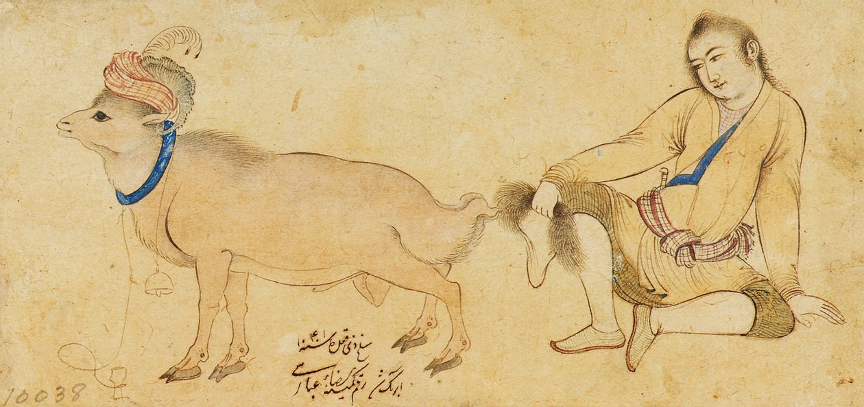 دراسة شاب وكبش 1630-31 أو أحدث بواسطة رضا العباسي