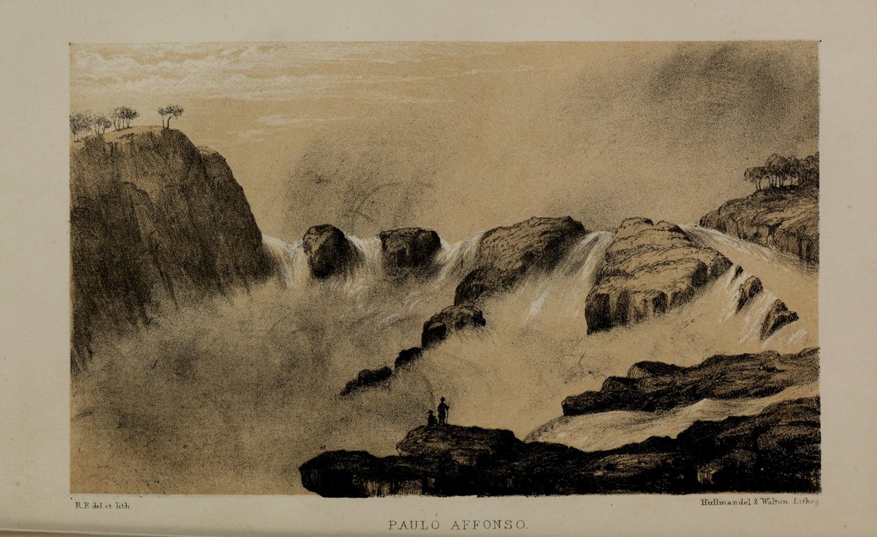 باولو أفونسو ، لوحة ألوان مائية رسمها روبرت إلويس (1819-1878) ، رجل بريطاني شاب ثري من نورفولك بواسطة روبرت الويس