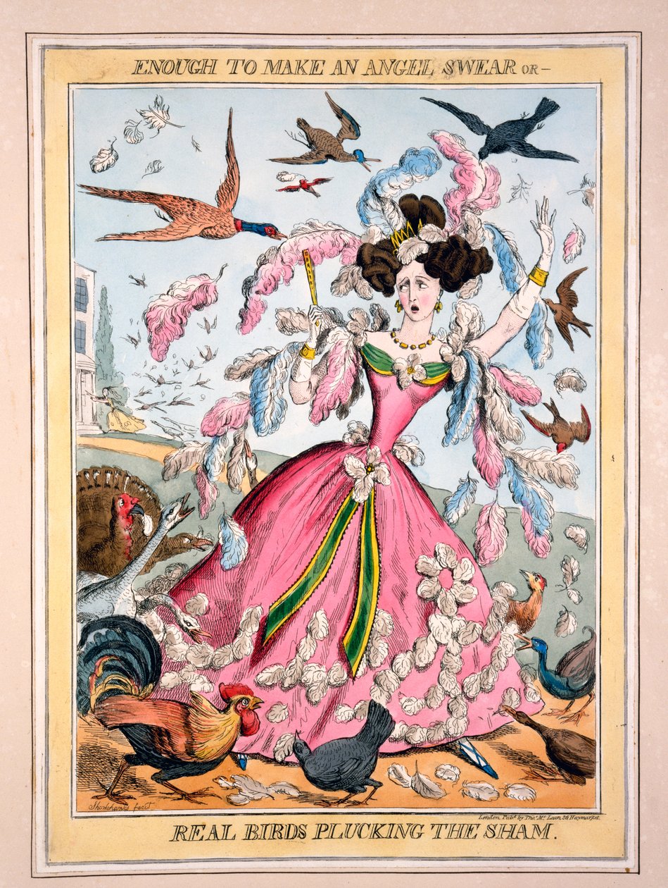 ما يكفي لجعل الملاك يقسم ، أو ، الطيور الحقيقية تتفرق الشام ، c 1830s (النقش اليدوي) بواسطة روبرت سيمور