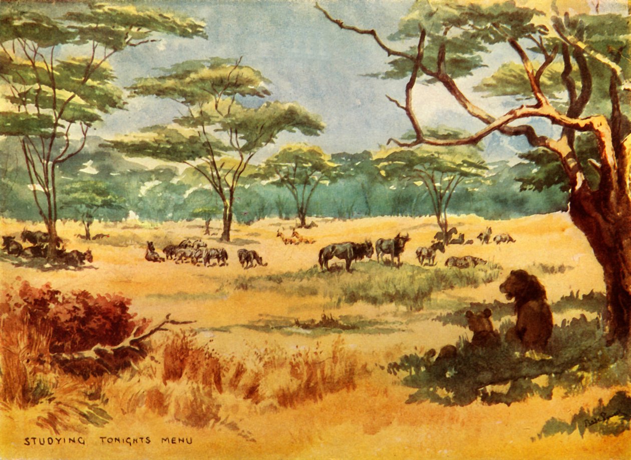 "دراسة قائمة الليلة" ، 1944. بواسطة روبرت بادن باول