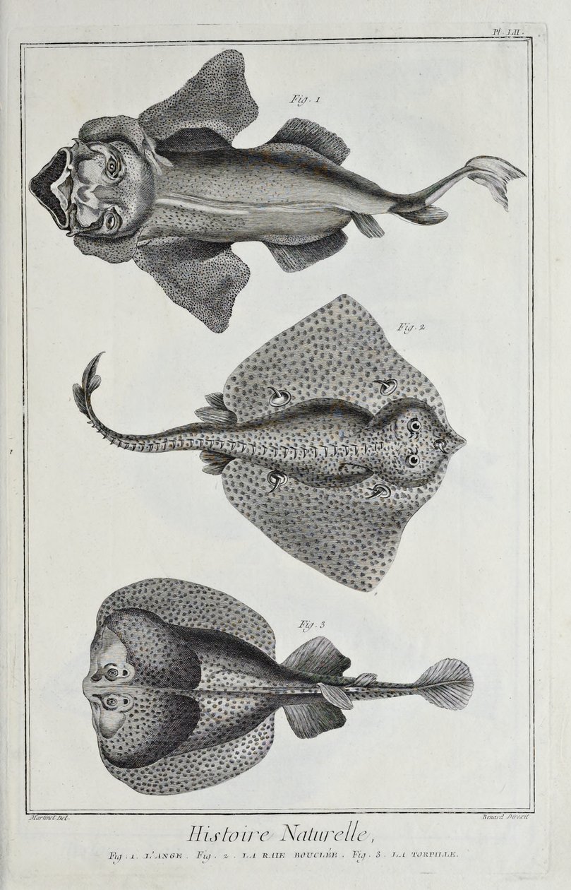 Illustration from 