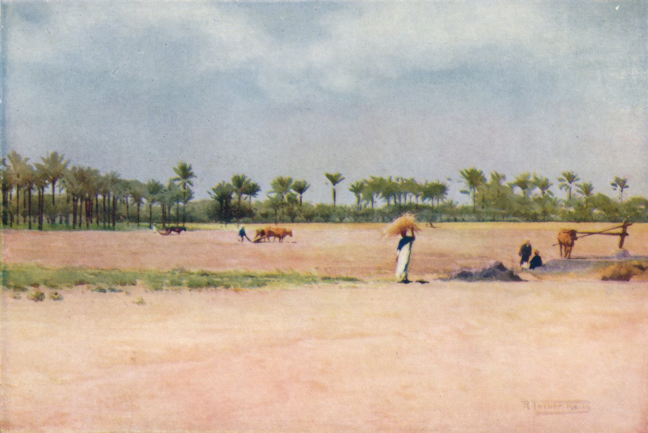 Esbet-El-Ekiad - Land of Goshen، c1880، 1904 بواسطة روبرت جورج تالبوت كيلي