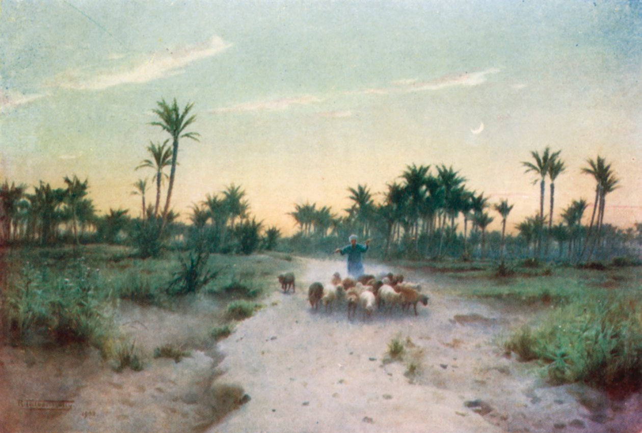  بواسطة روبرت جورج تالبوت كيلي
