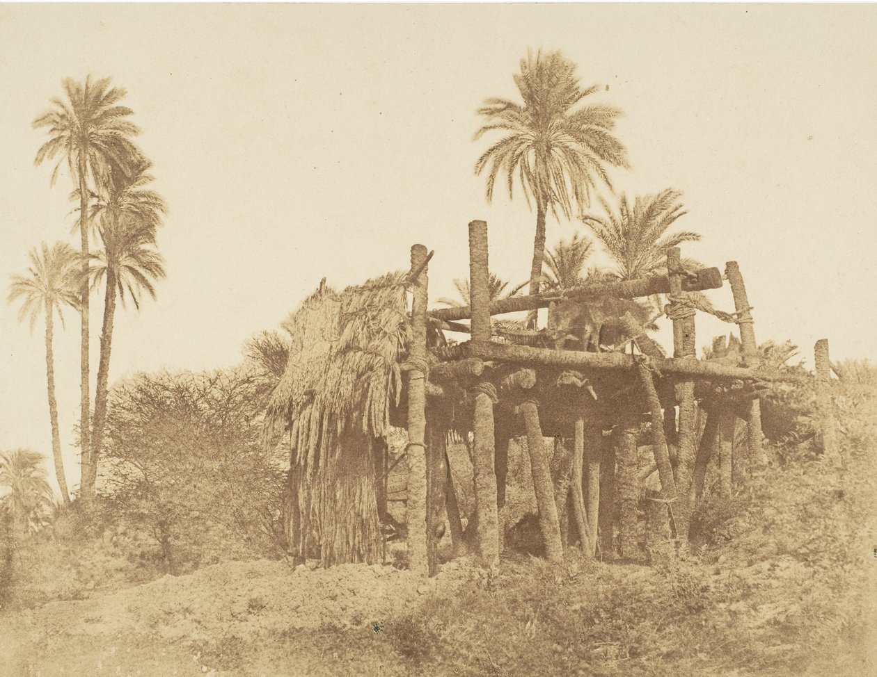 النوبي الساقية ، أو عجلة المياه ، ح. 1856. بواسطة روبرت موراي.
