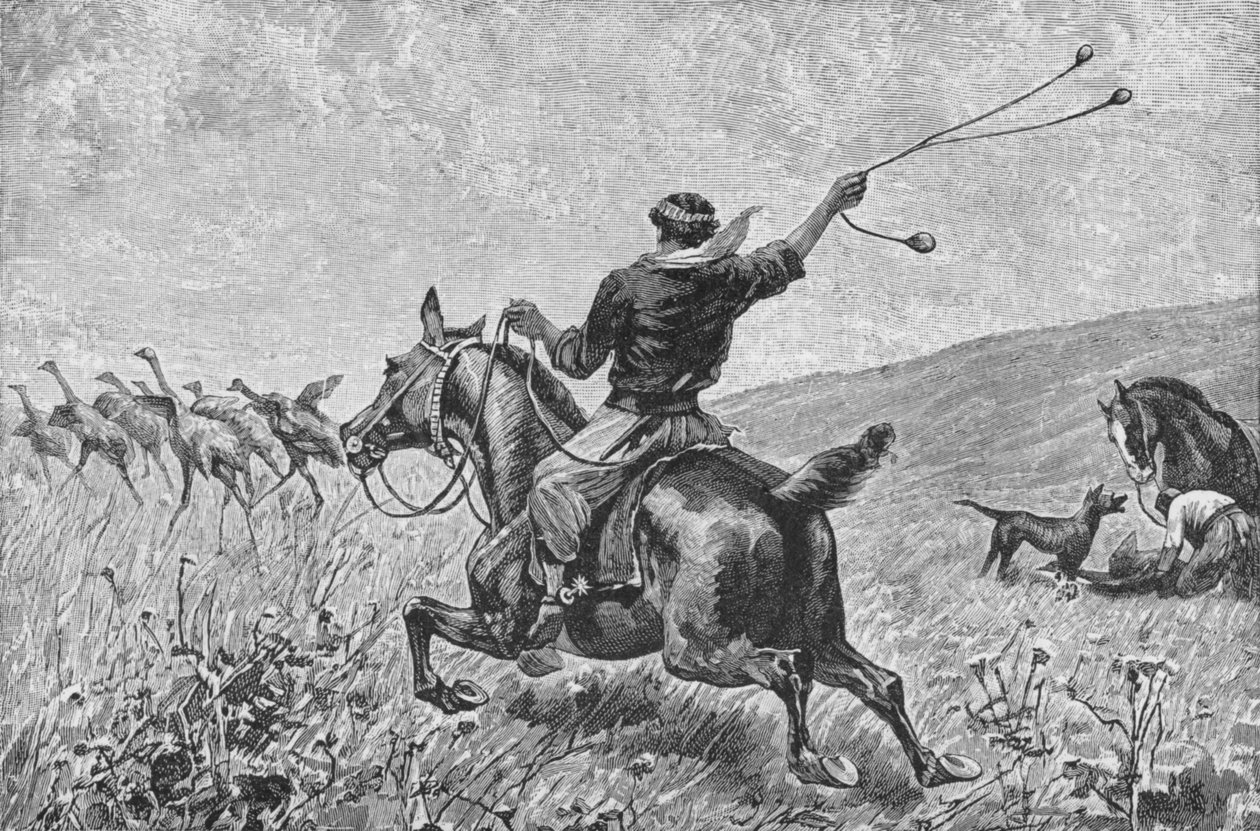 رمي البولاس ، c1885 ، 1890 بواسطة روبرت تايلور بريتشيت