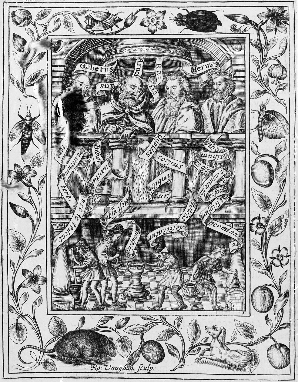 الخيميائيون الكبار يلهمون العمل في المختبر من Theatrum Chemicum Britannicum ، 1652 بواسطة روبرت فوغان