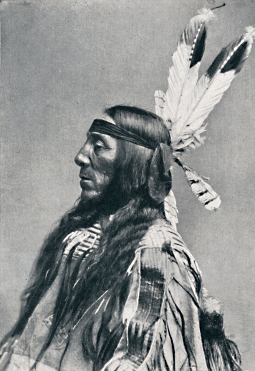 عرض ملف شخصي لسيوكس ، 1912 بواسطة روبرت ويلسون شوفلدت