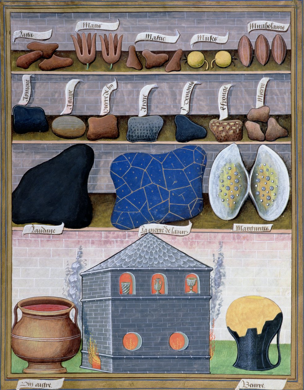 رسم توضيحي من كتاب الأدوية البسيطة بواسطة Mattheaus Platearius 166r بواسطة Robinet Testard