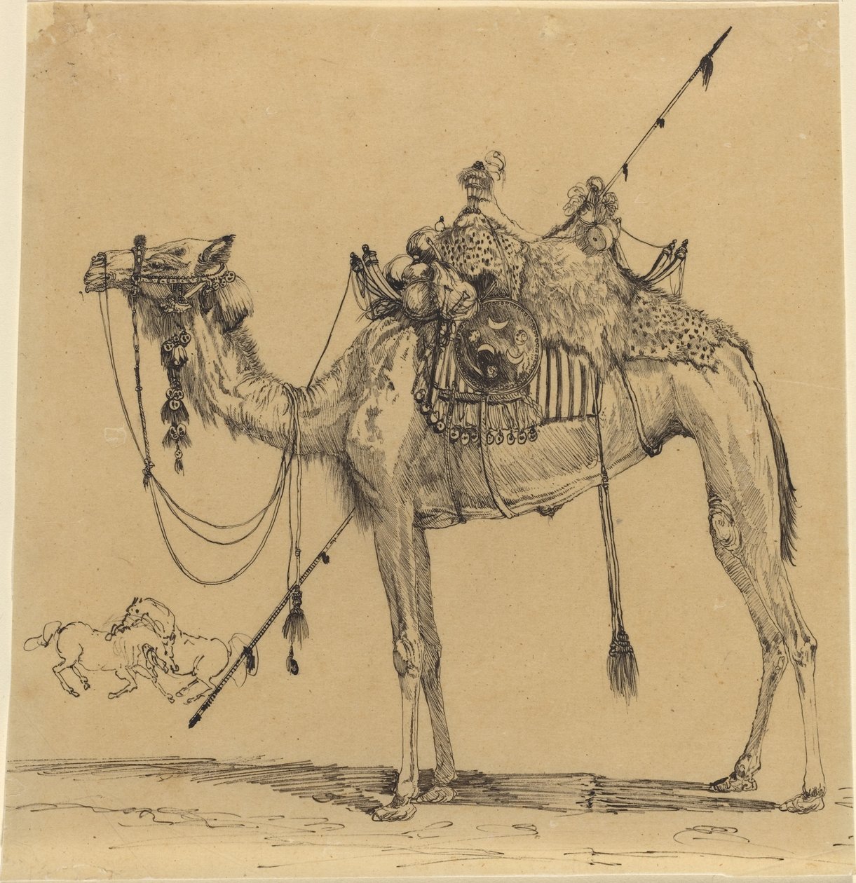 الجمل بواسطة رودولف بريسدين