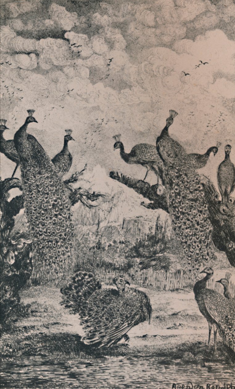الطاووس ، 1869 ، 1946 بواسطة رودولف بريسدين