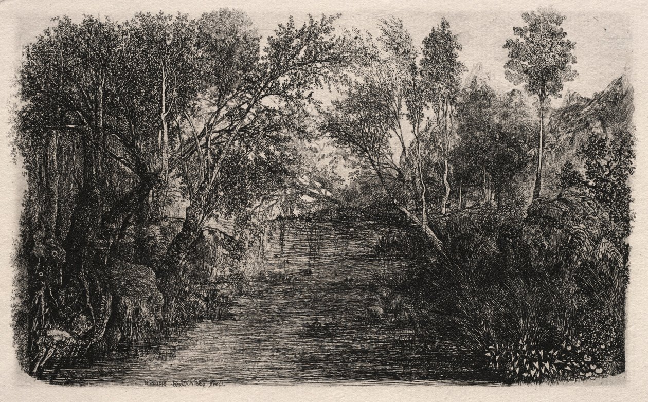 التيار ، 1880. بواسطة رودولف بريسدين