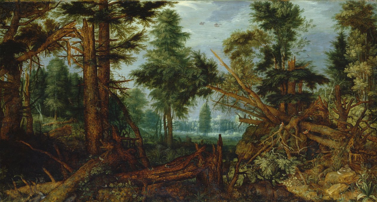 وودز بعد العاصفة بواسطة Roelandt Jacobsz. حفظ