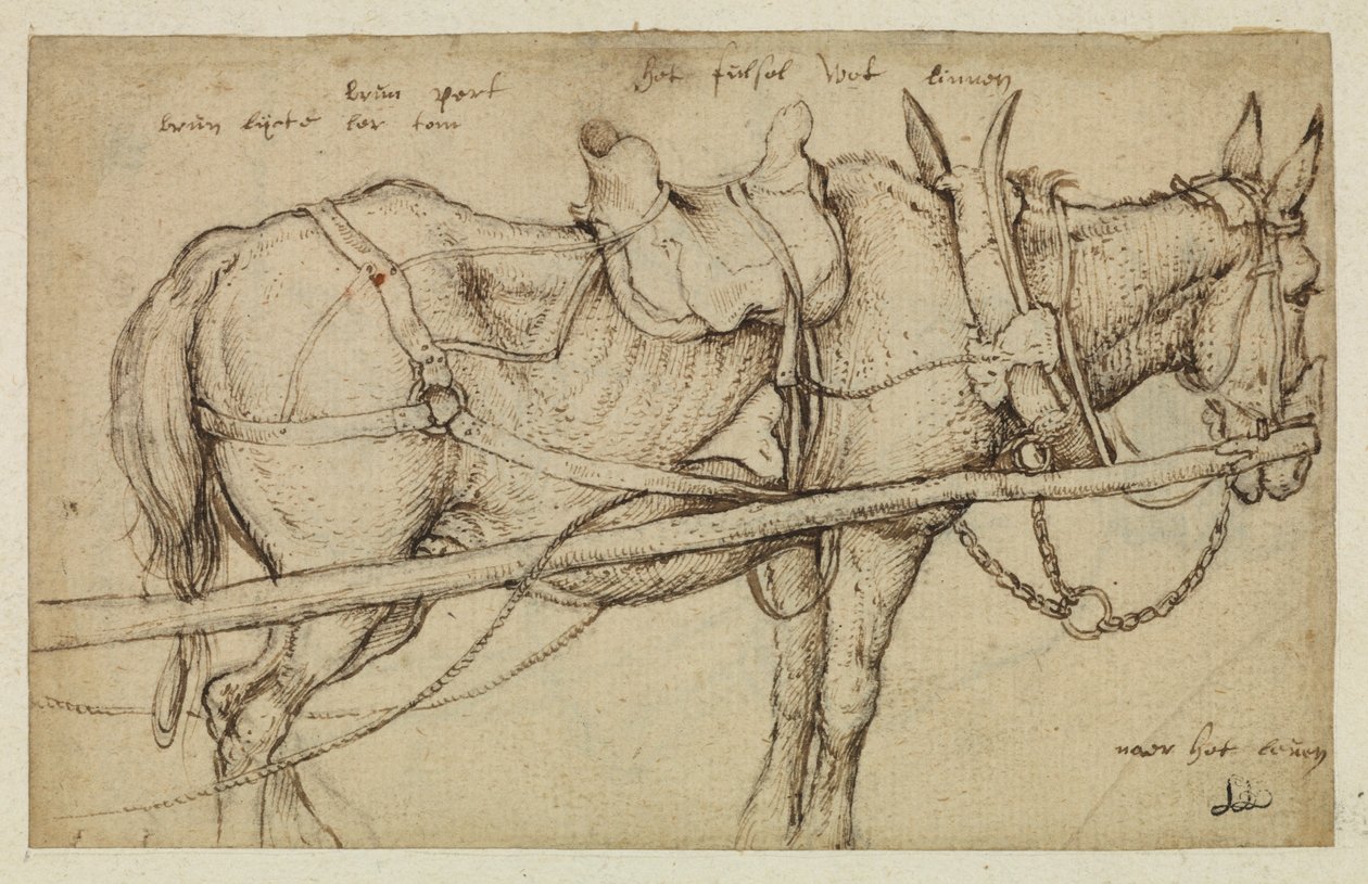 بغل في تسخير بواسطة Roelandt Jacobsz. حفظ